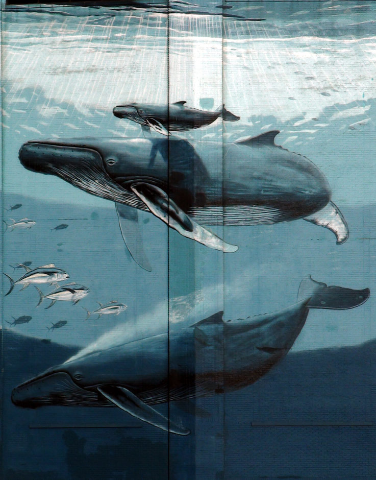 Wyland Hopes To Save Whaling Wall Mural From Demolition