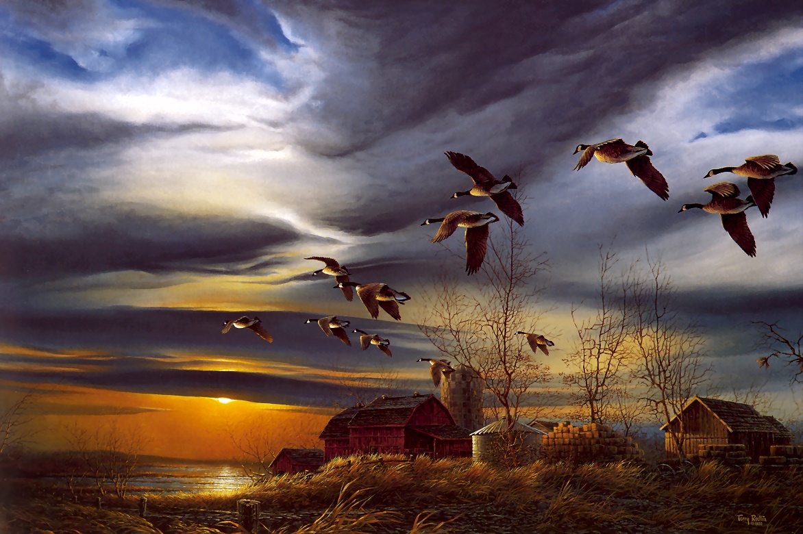 Geese Flying South Puter Wallpaper Desktop