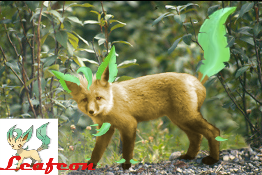 Free Download Live Action Leafeon By Necromancerx69 900x602 For