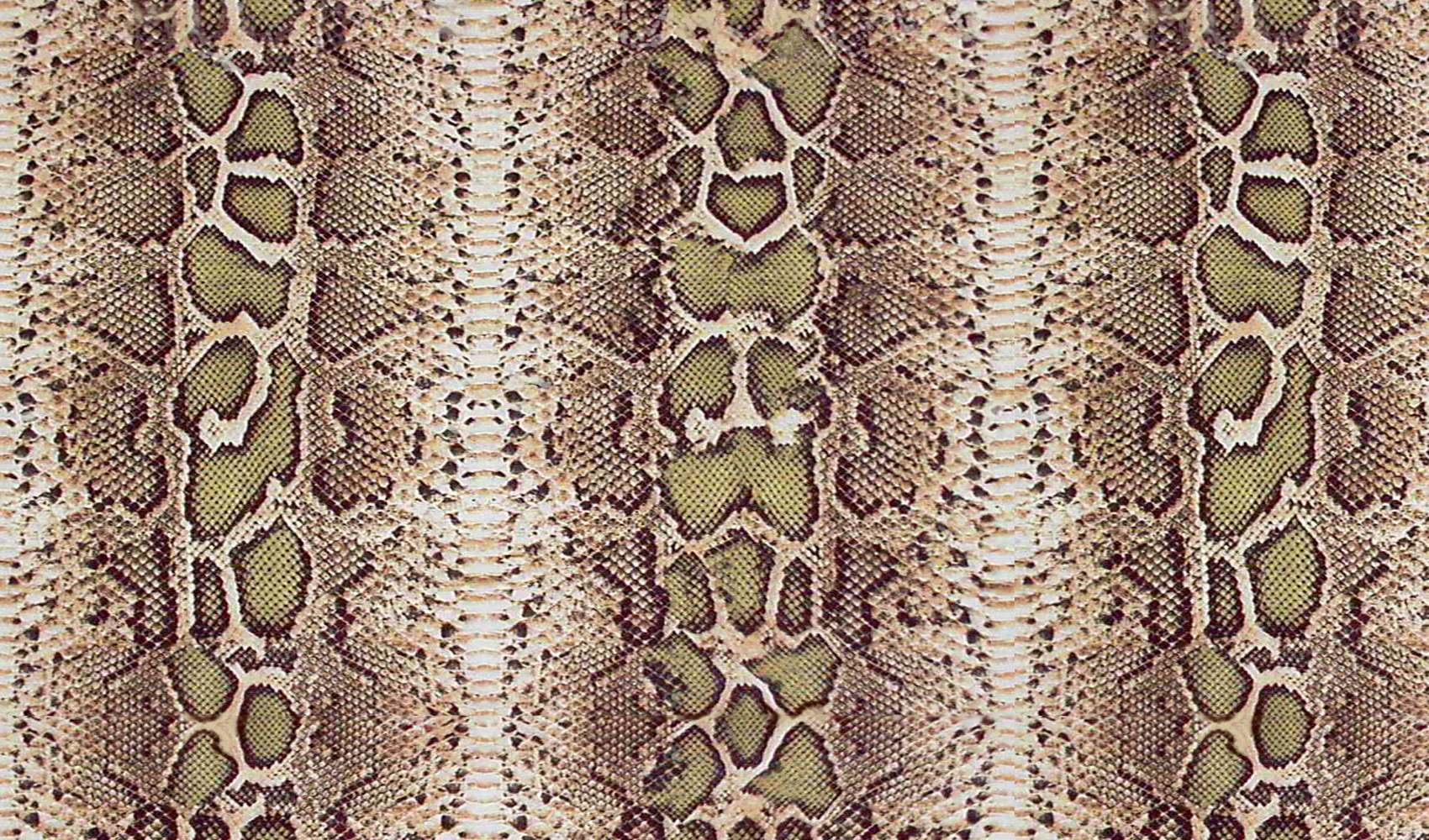 Snakeskin Print Wallpaper HD Widescreen