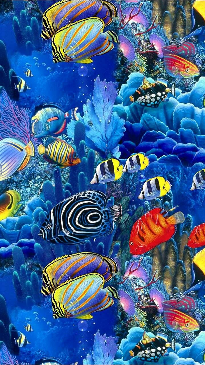 Lisa Green On Ocean Life Animated Wallpaper Fish