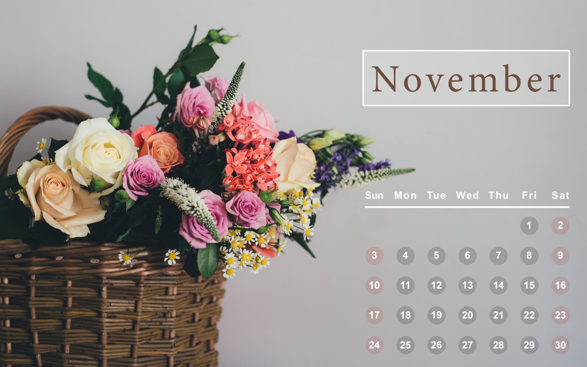 Floral November 2019 Wallpaper   Free Printable Calendar