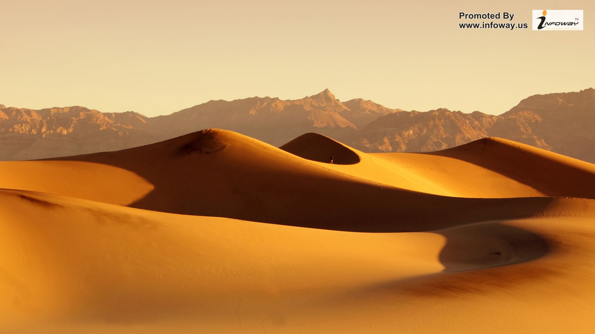 Sahara Desert Sand Dunes   Photo 71 of 391 phombocom