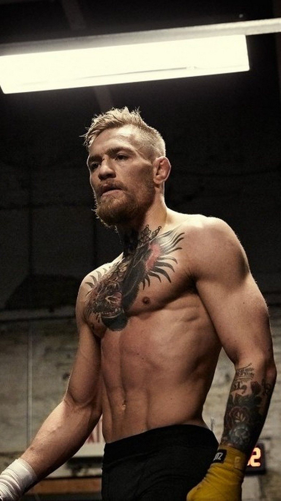 Conor McGregor Wallpapers 70 pictures
