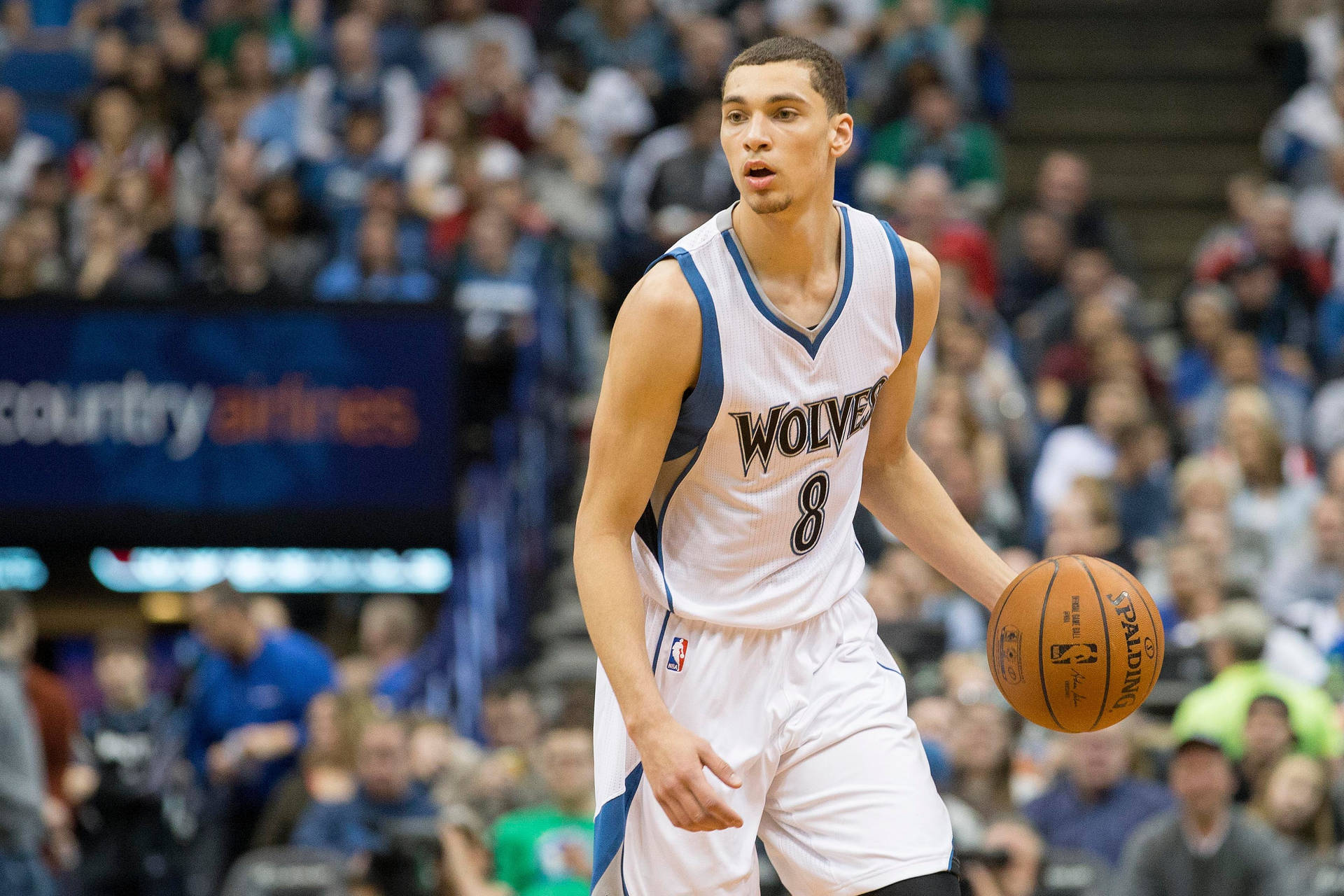 Lavine Wallpaper