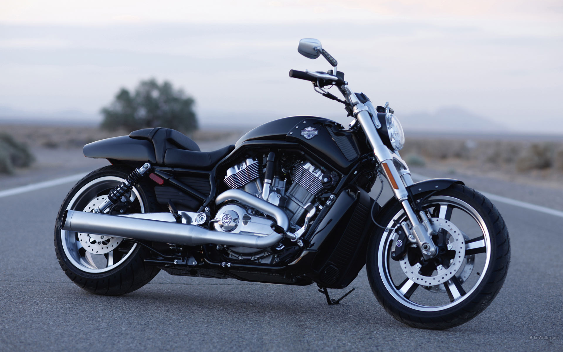 Harley Davidson Vrscf V Rod Muscle Desktop Wallpaper