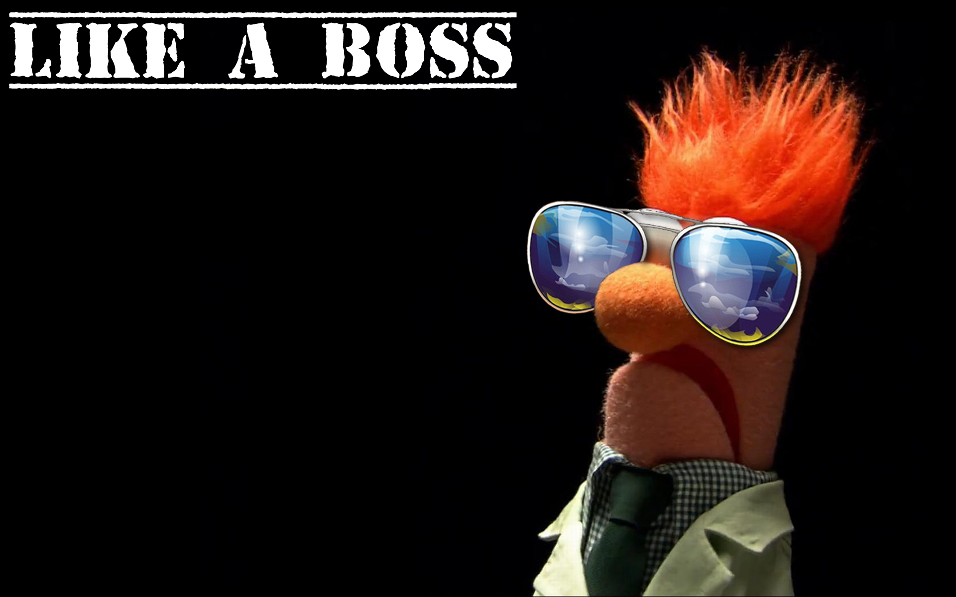 Beaker The Muppet Show Like A Boss Wallpaper