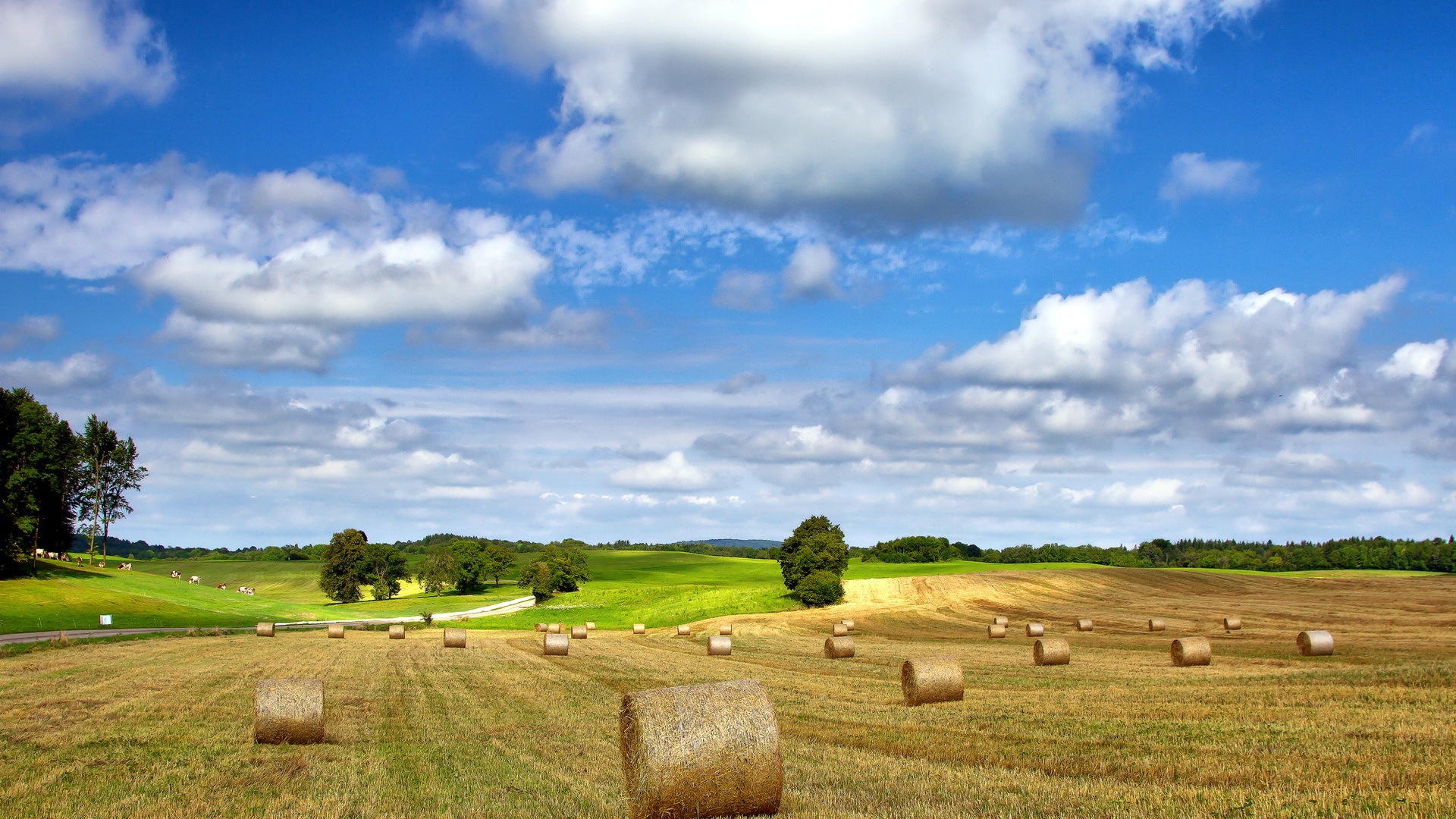 Farm field nature landscape hay summer cloudy sky Wallpaper Desktop 1920x1080