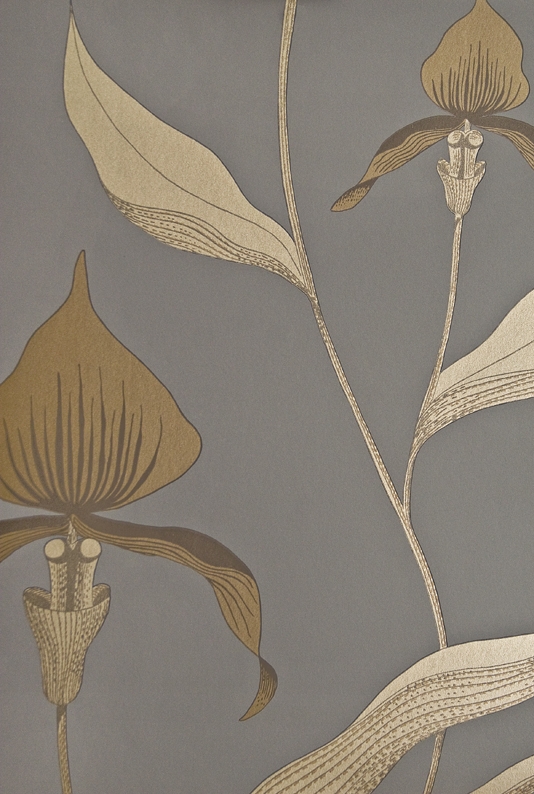 Grey Wallpaper With Large Illustrated Orchid Design In Metallic Gold