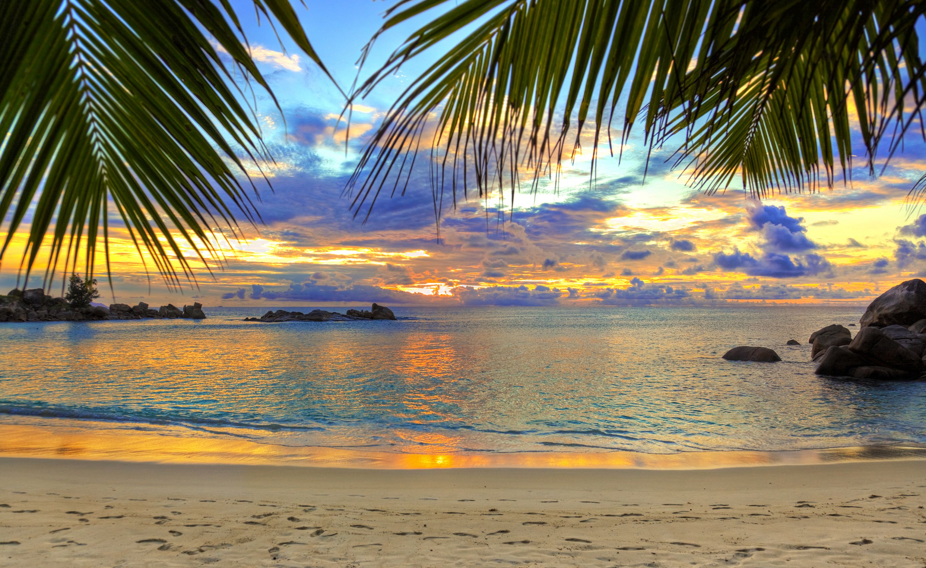 A breathtaking sunset over a tropical beach with palm trees and calm waters