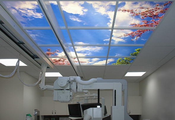 Beautiful Ceiling Murals With Gorgeous Blue Sky Motif Decorating