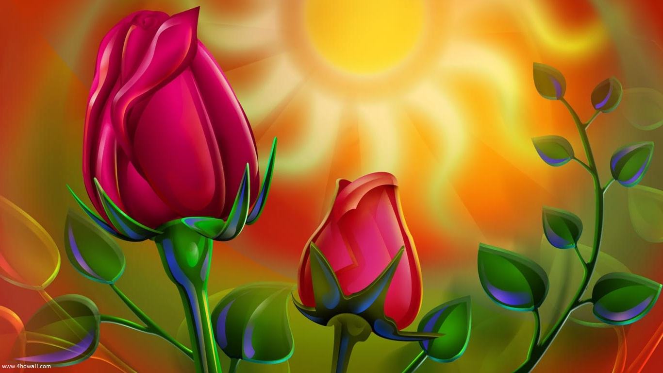 Wallpapers Backgrounds   Rose laptop wallpaper flowers wallpapers 1366x768