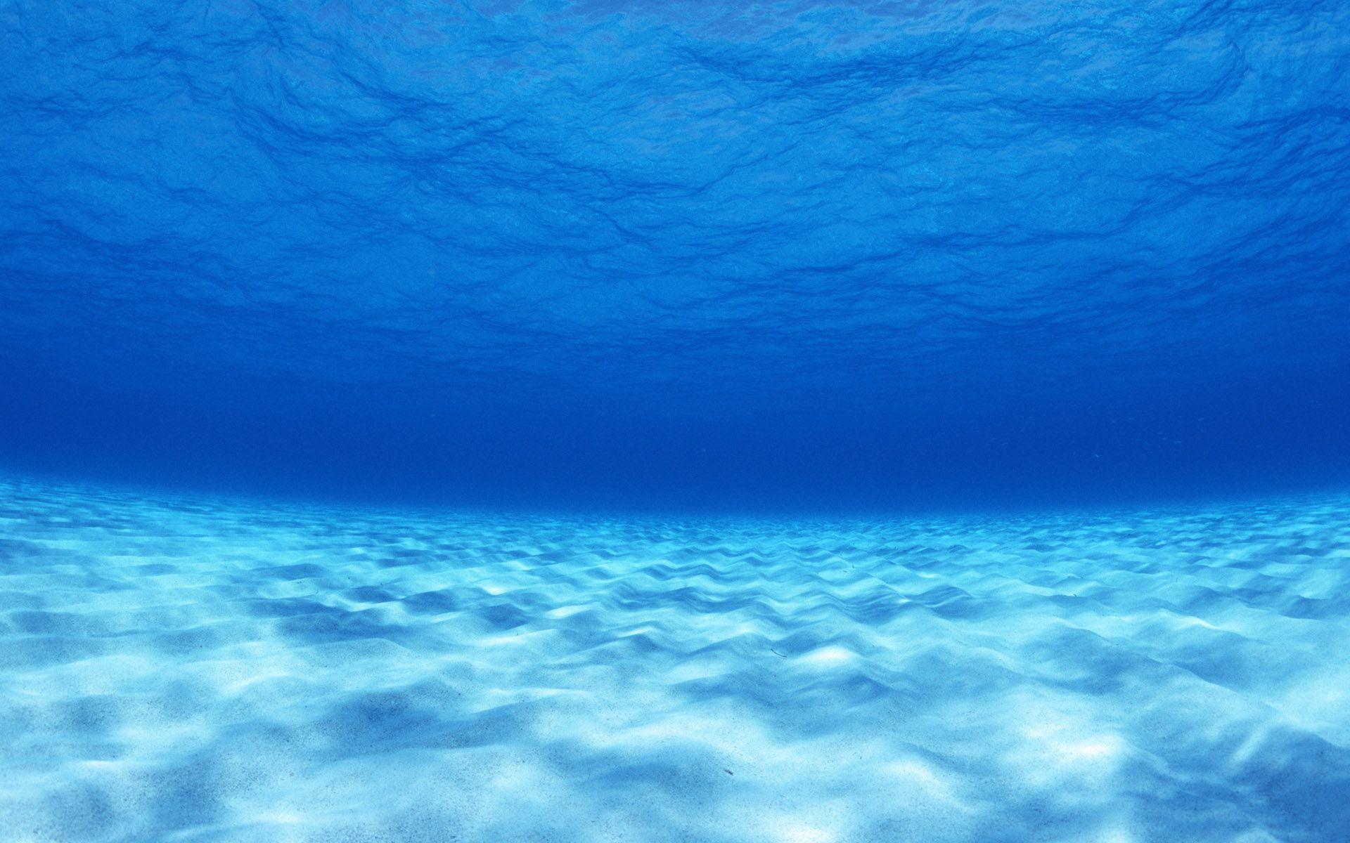 Under Water Wallpaper