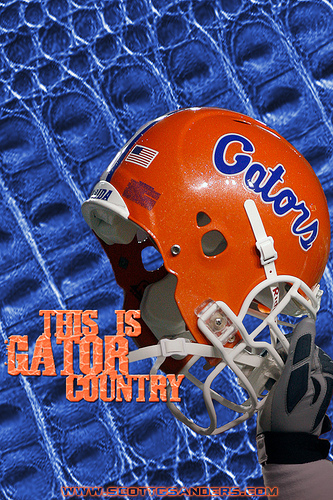 Florida Gators This Is Gator Country iPhone Wallpaper A