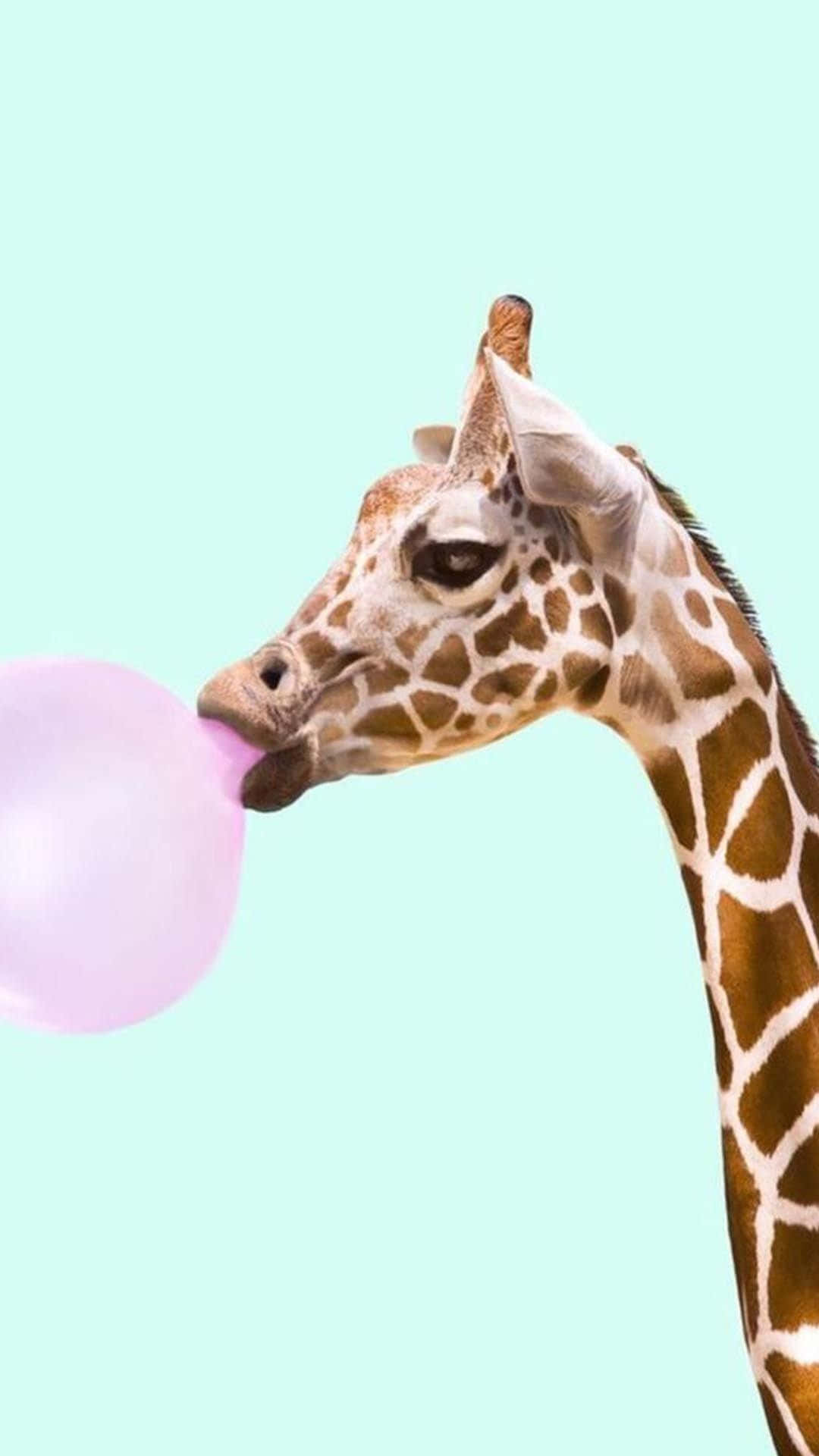 Adorable Animal Compatible With Your iPhone Wallpaper