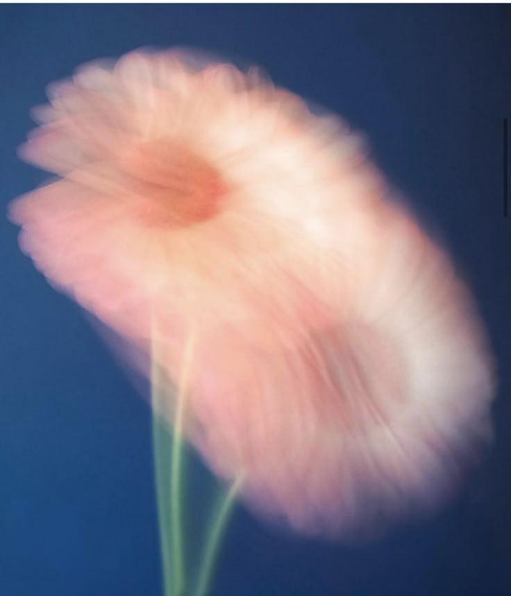 Blue Aesthetic Flower Wallpaper