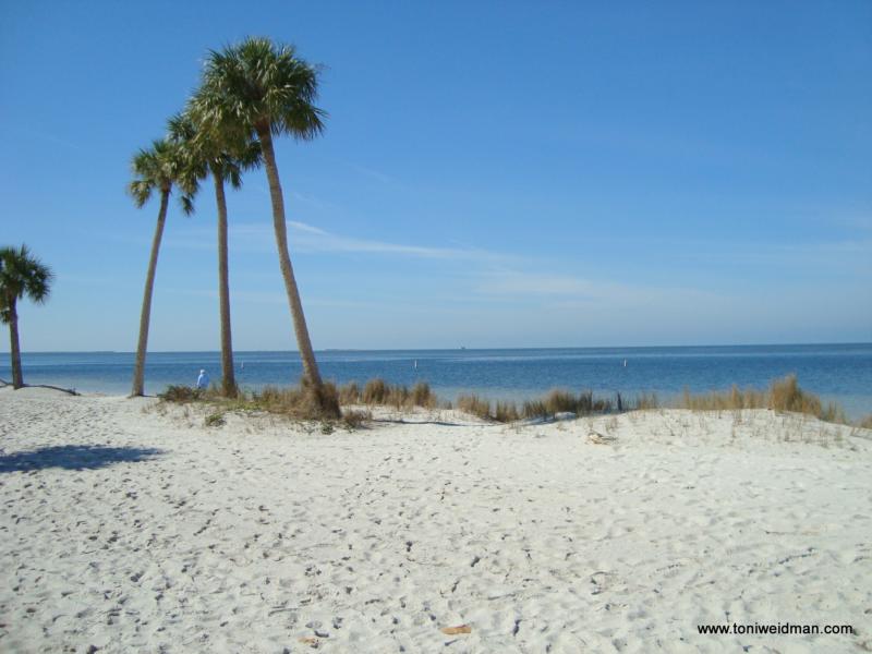 Sunset Beach Is One Of Two Beaches In Tarpon Springs Florida It A
