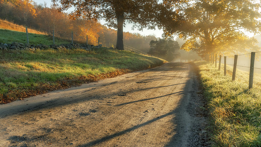 Look It Back Road Morning By Bill Wakeley