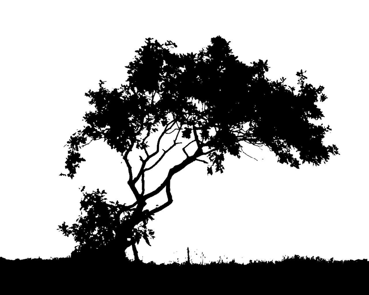 forest Silhouette Wallpaper Trees Black And White Printables