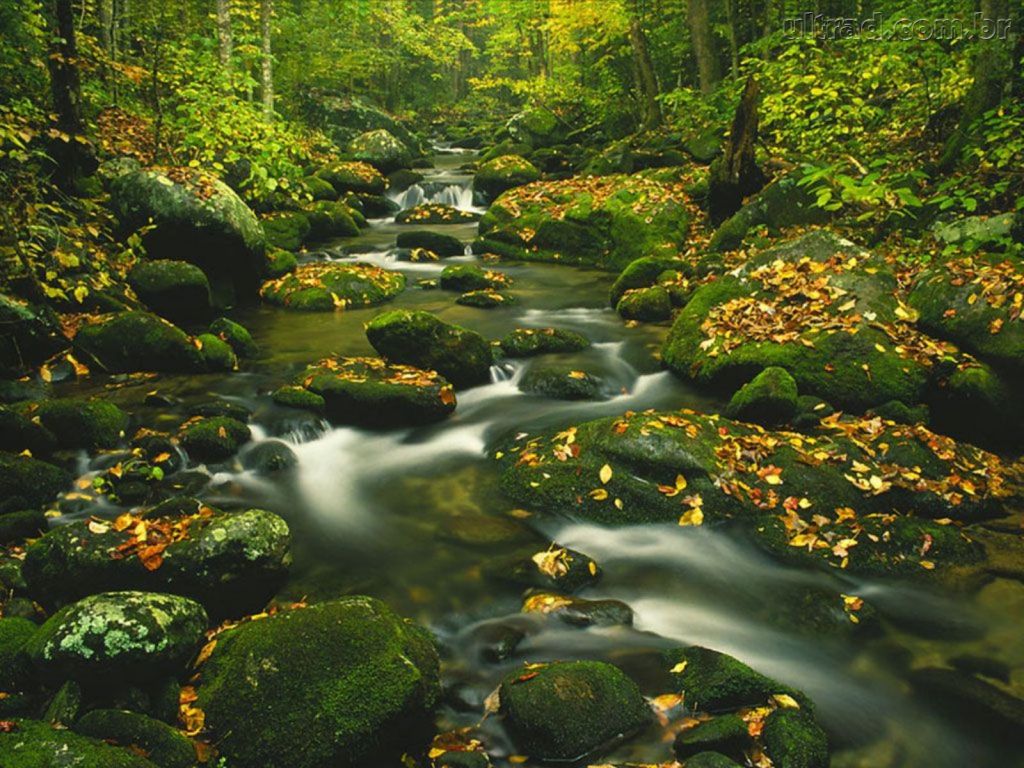 Roaring Fork Parque Nacional Great Smoky Mountains Tennessee