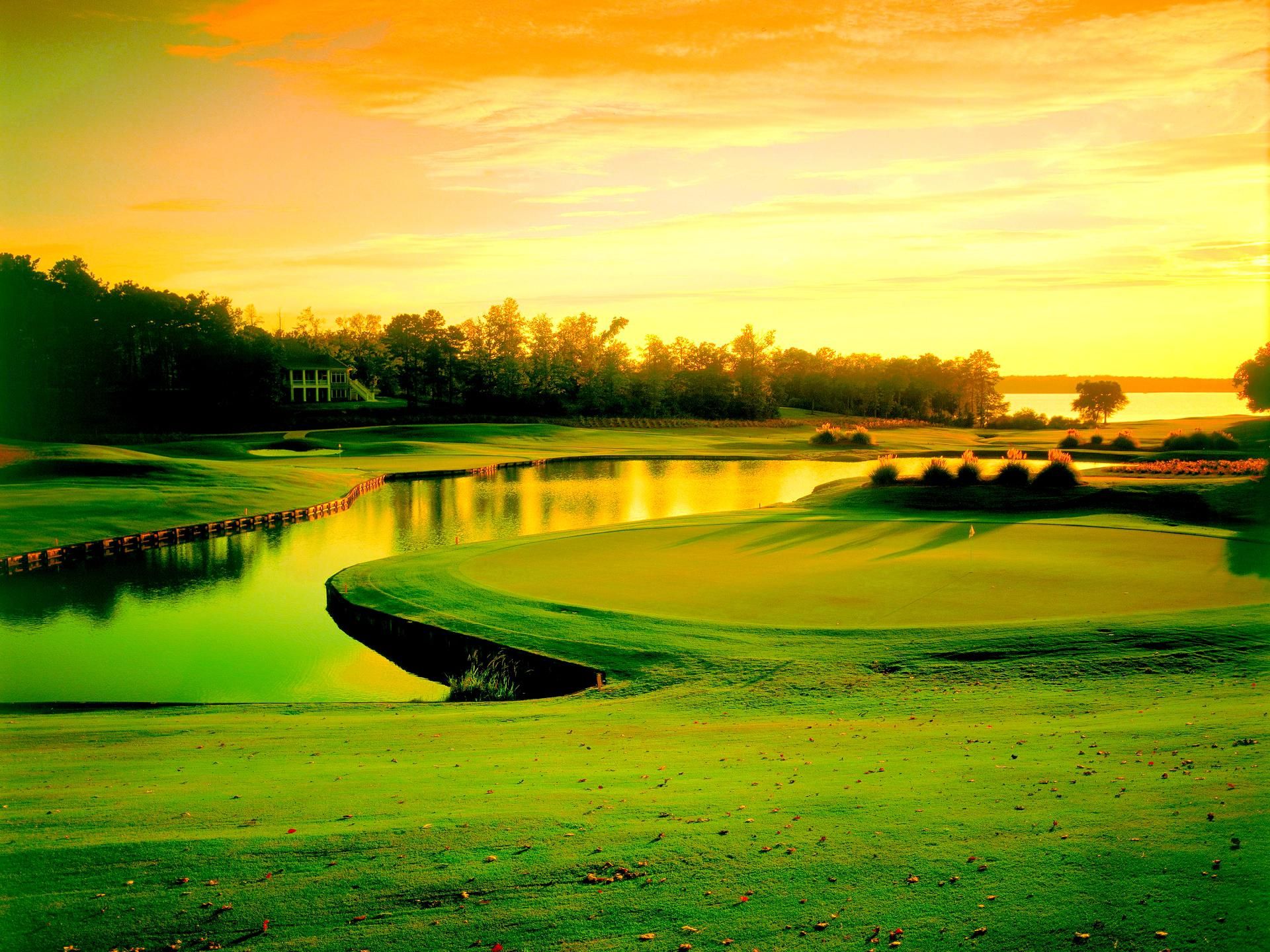 On The Golf Course Wallpaper