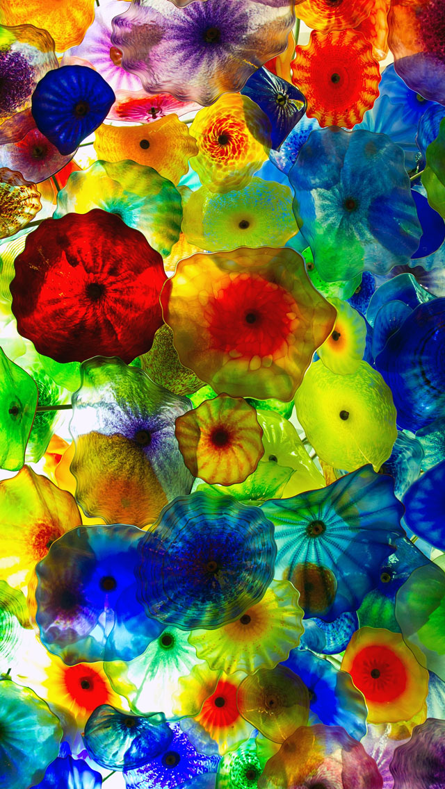 Colorful Jellyfish Wallpaper Vegas iPhone 5s