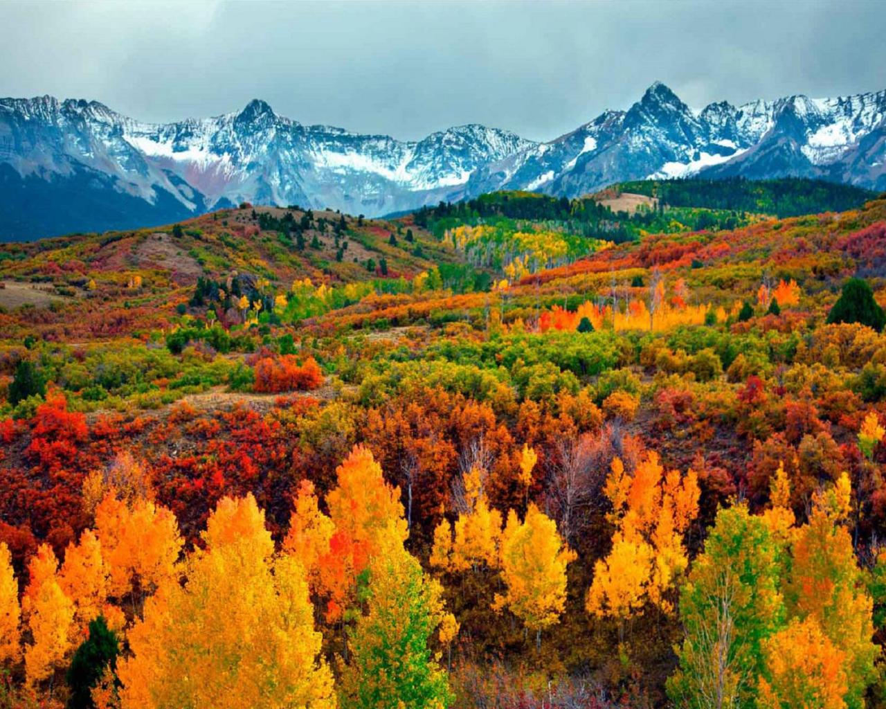 MOUNTAINS IN COLORADO WALLPAPER   125091   HD Wallpapers