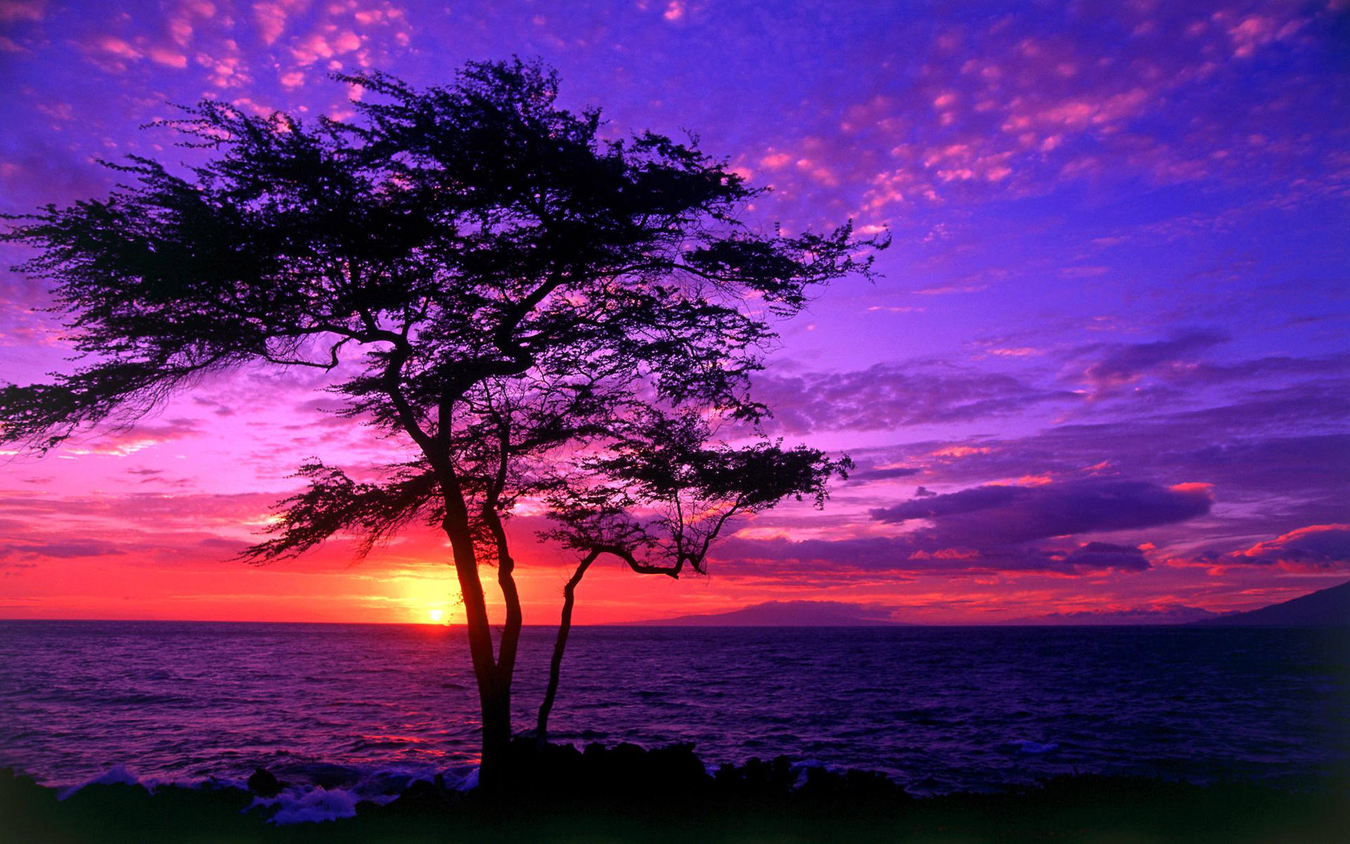 Alfa img   Showing gt High Resolution Purple Sunset