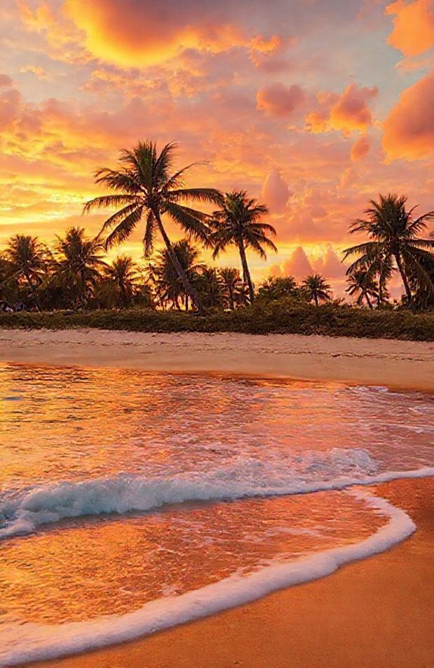 Beach Screensavers And Wallpaper