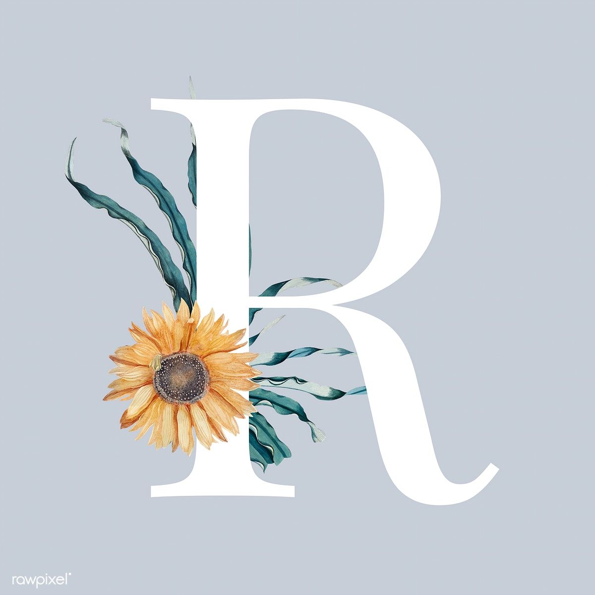 White alphabet R decorated with hand drawn sunflower vector free