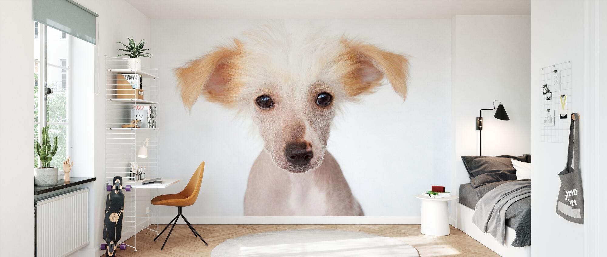 Hairless Chinese Crested Puppy trendy wall mural Photowall