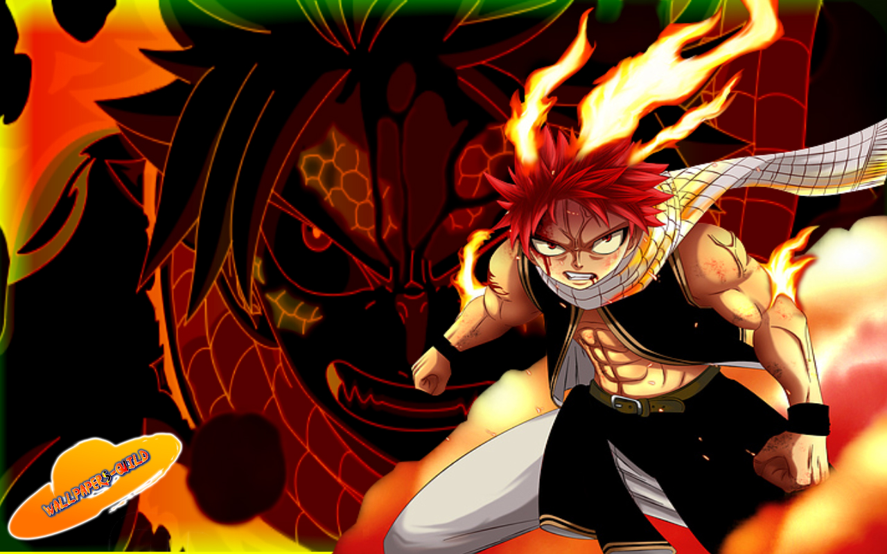 Animage Fairy Tail Wallpaper