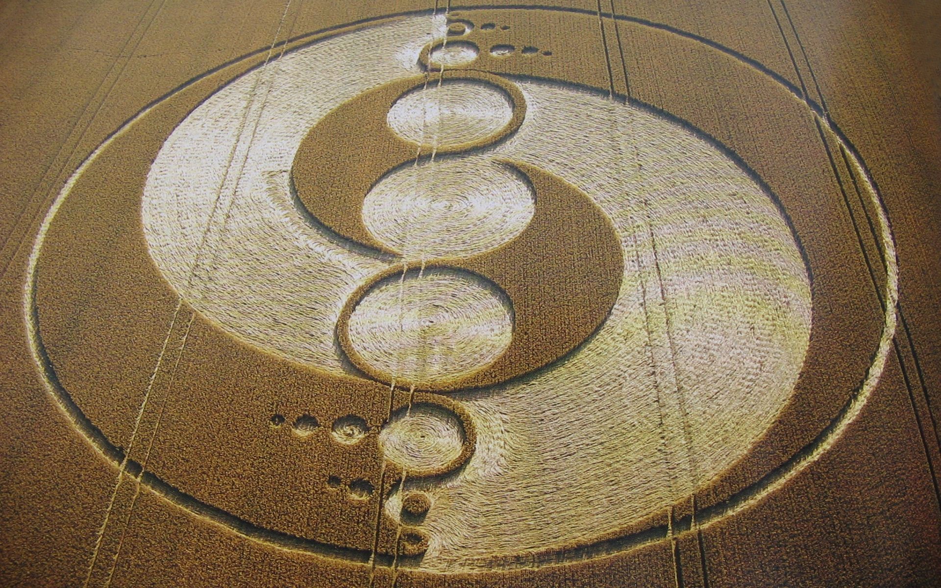 Crop circles ufos the field want to believe crop circles wallpaper