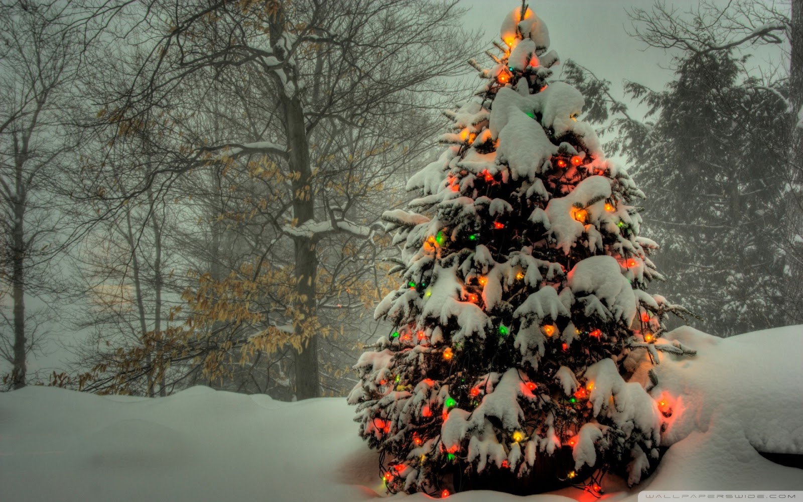 Awesome Galleries 33 Beautiful christmas tree Wallpaper