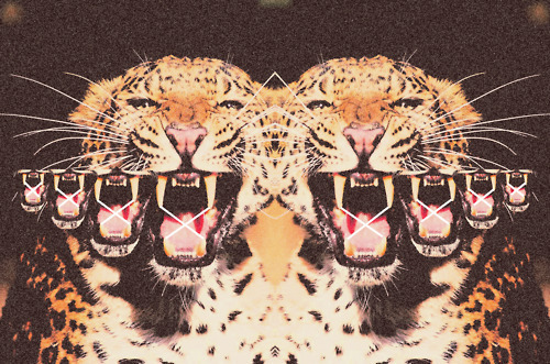 Dope Tiger Photoshop Duplicate Clones