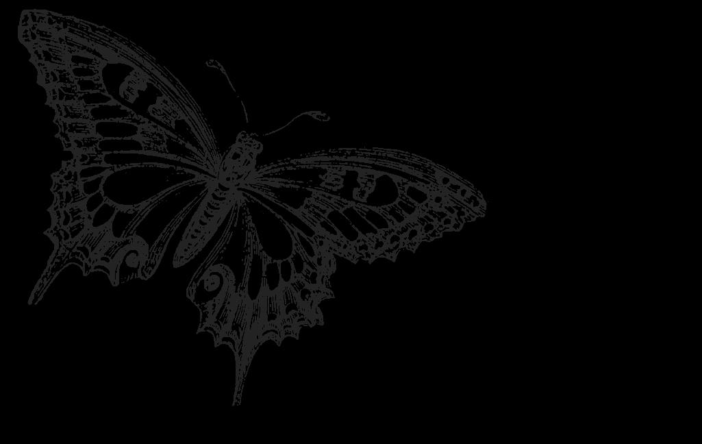 Free download Butterfly black grey cute wallpaper background picture and  layout [1025x648] for your Desktop, Mobile & Tablet | Explore 70+ Black Butterfly  Wallpaper | Butterfly Wallpapers, Butterfly Background, Wallpaper Butterfly