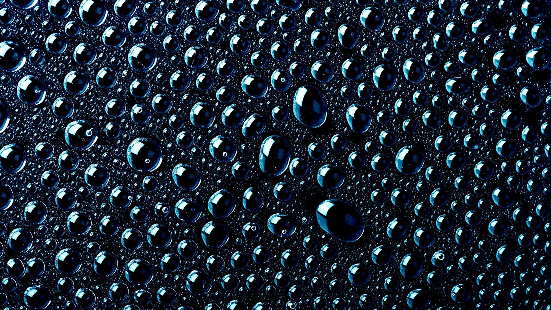Water Drops On A Black Surface Wallpaper