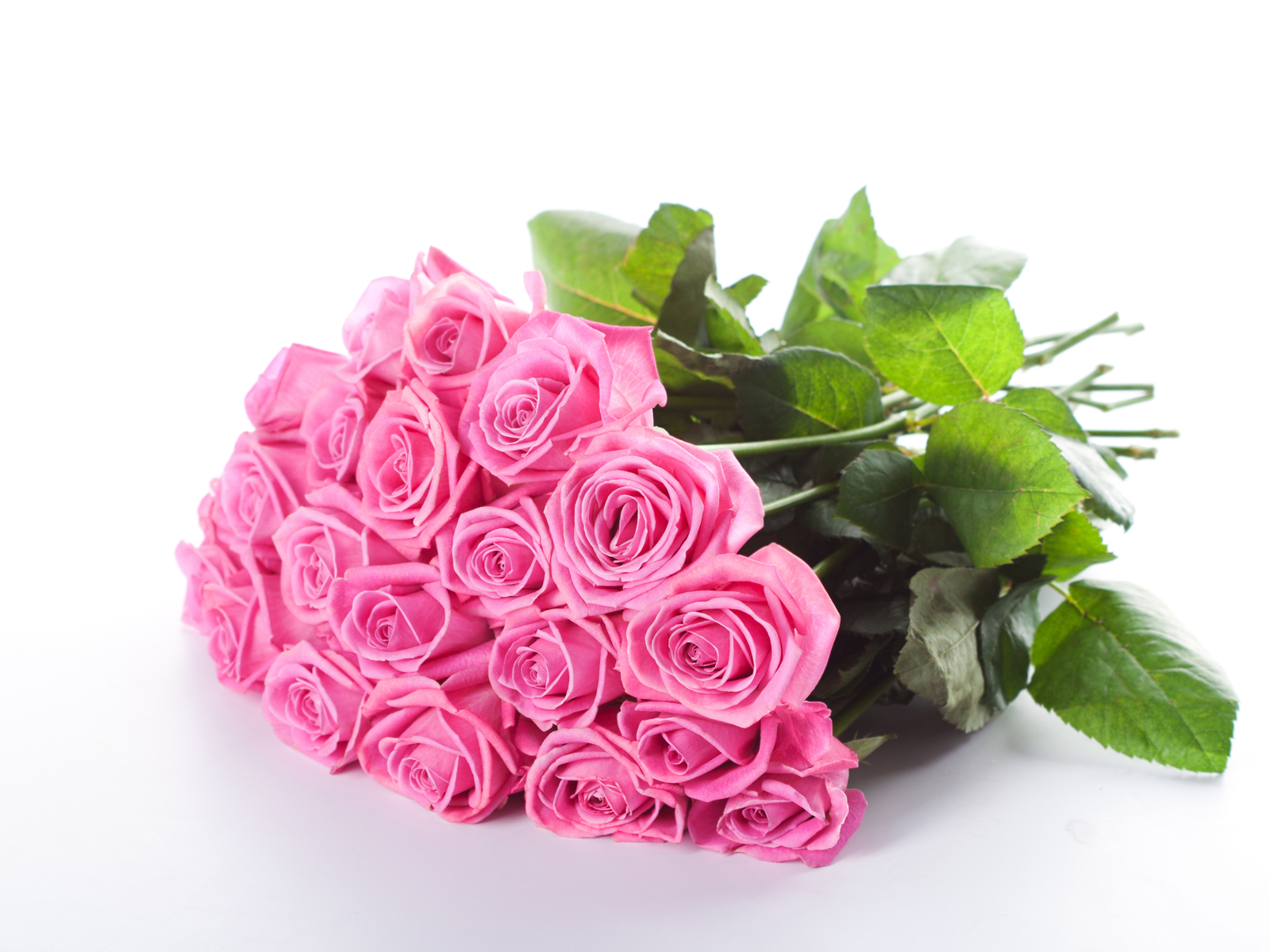 Bouquet Of Pink Roses HD Wallpaper Nature