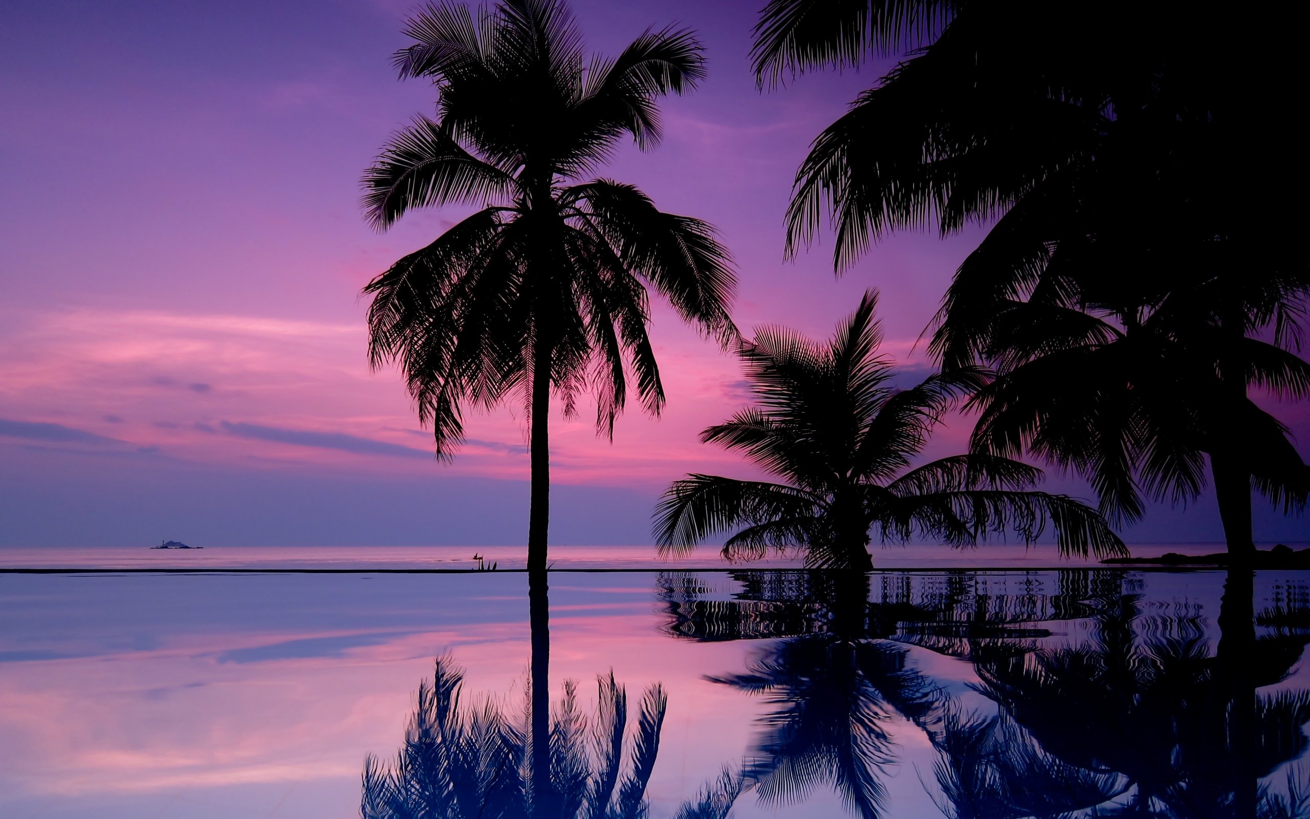Sunset palm trees iphone wallpaper