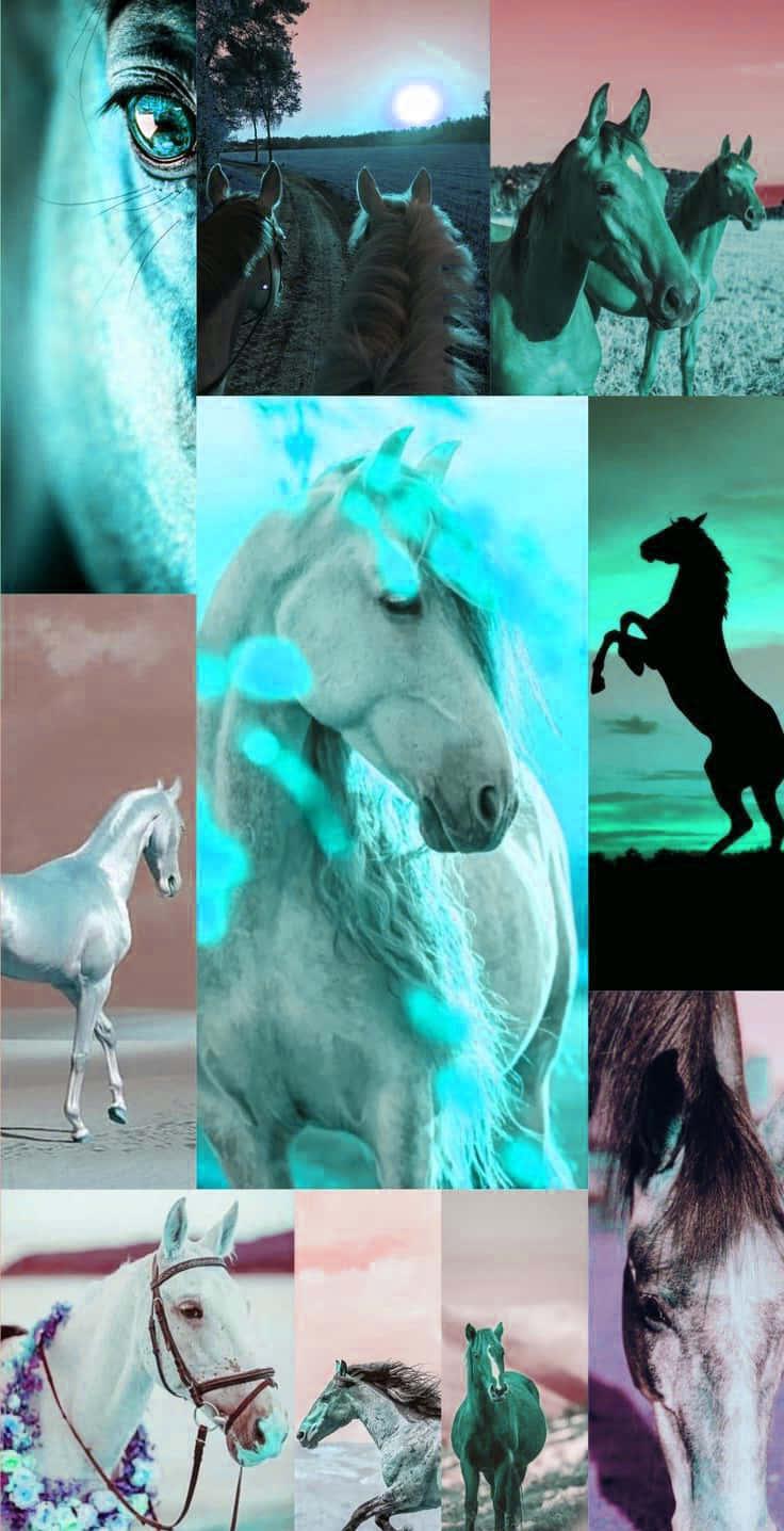 A Collage Of Horses In Different Colors Wallpaper