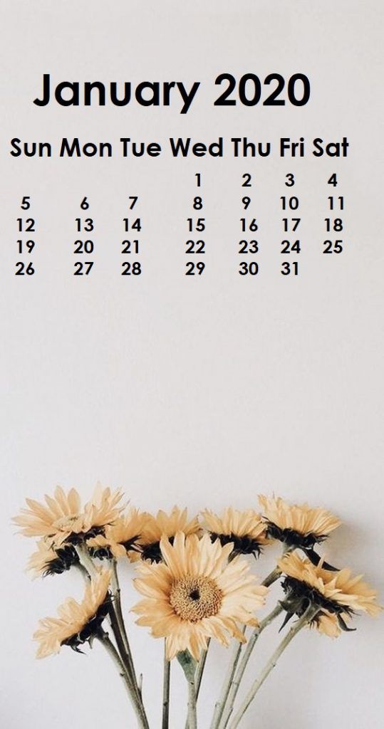 January 2020 iPhone Calendar Wallpaper in 2019 January wallpaper