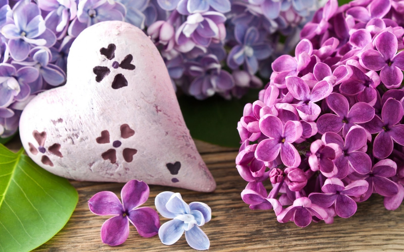 Flowers World Lilac Heart Shaped