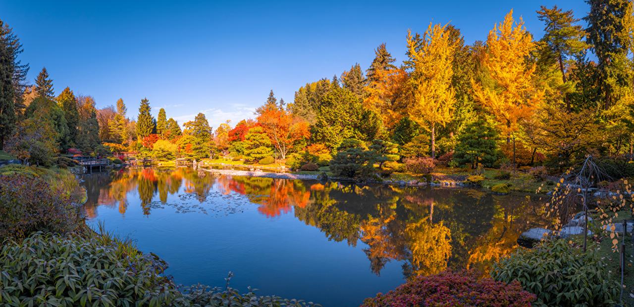 Image Washington Usa Seattle Japanese Garden Autumn Nature Pond