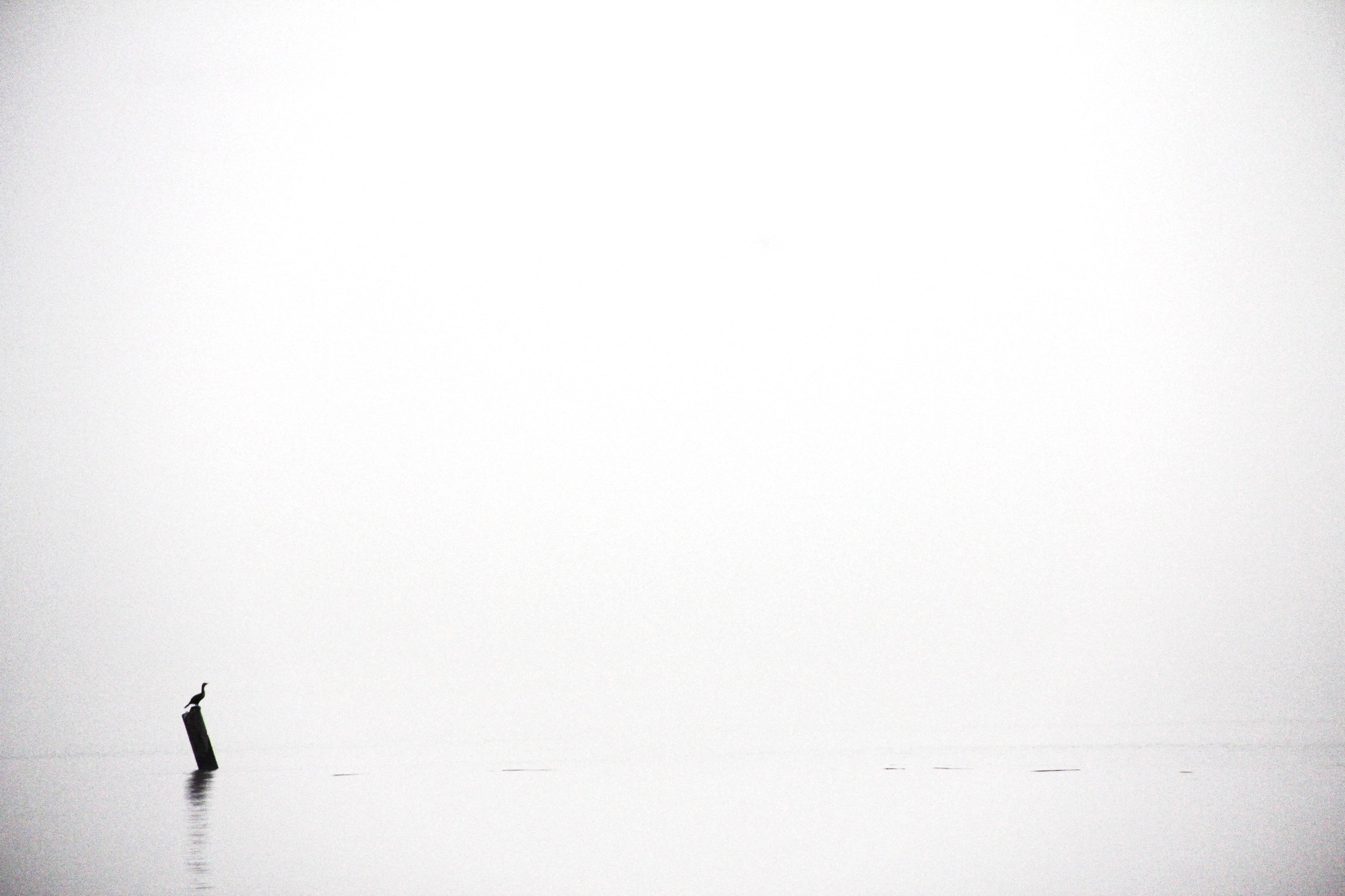 Plain Pure White Texture Wallpaper