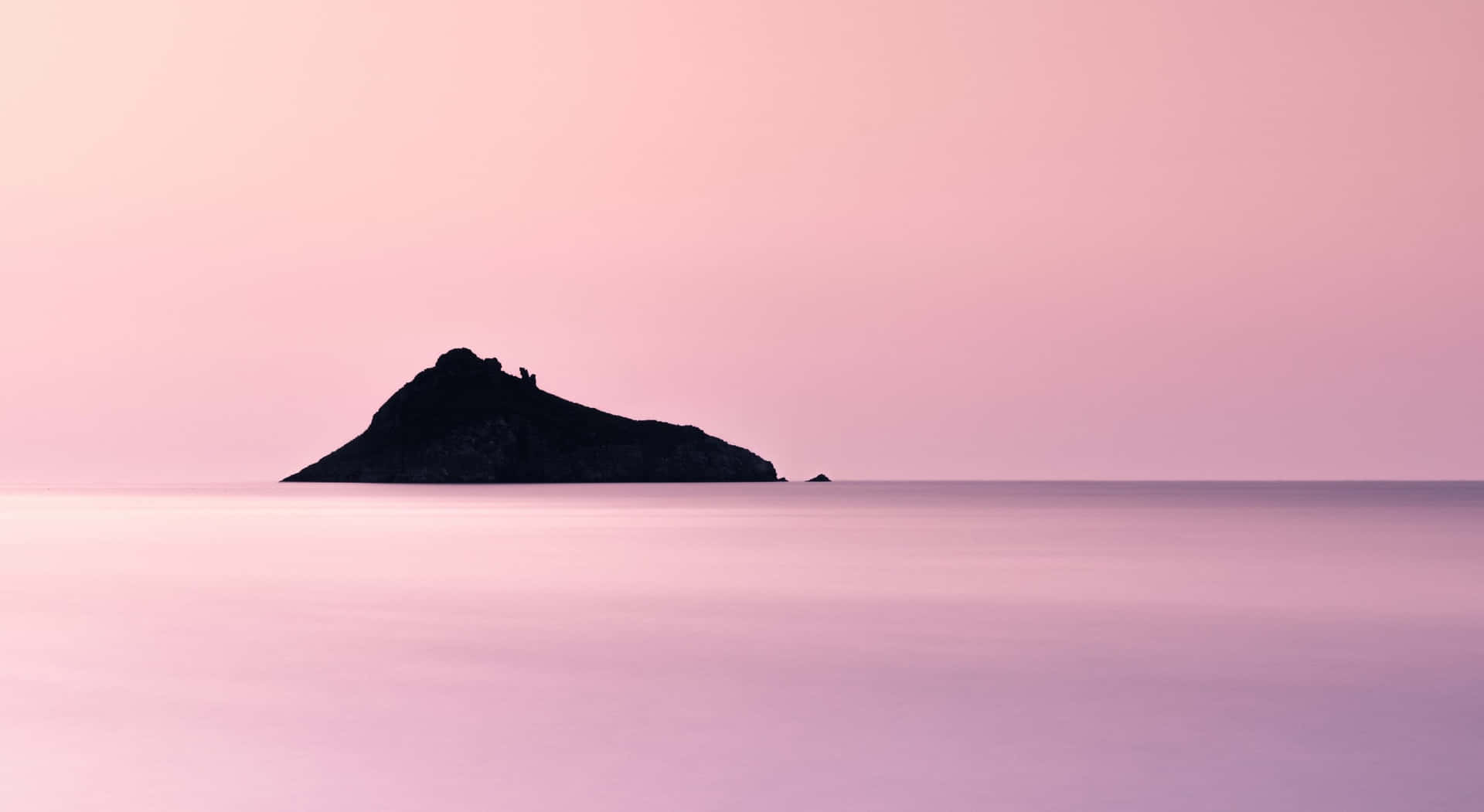 Plain Pink Desktop Wallpaper