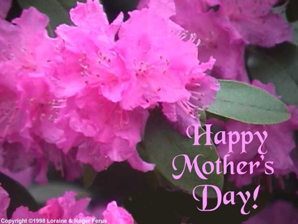Farry Island Mother S Day Wallpaper
