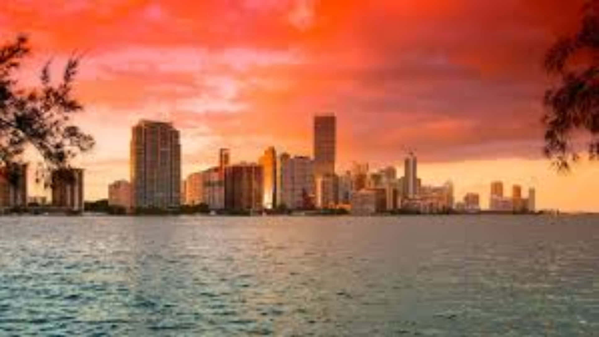 Miami 4k Wallpaper