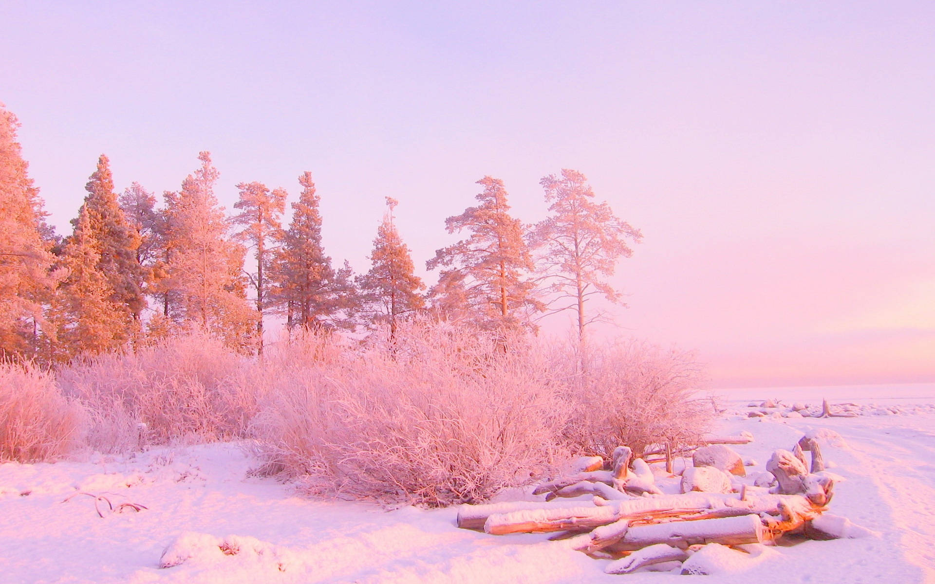 Snow Aesthetic Wallpaper