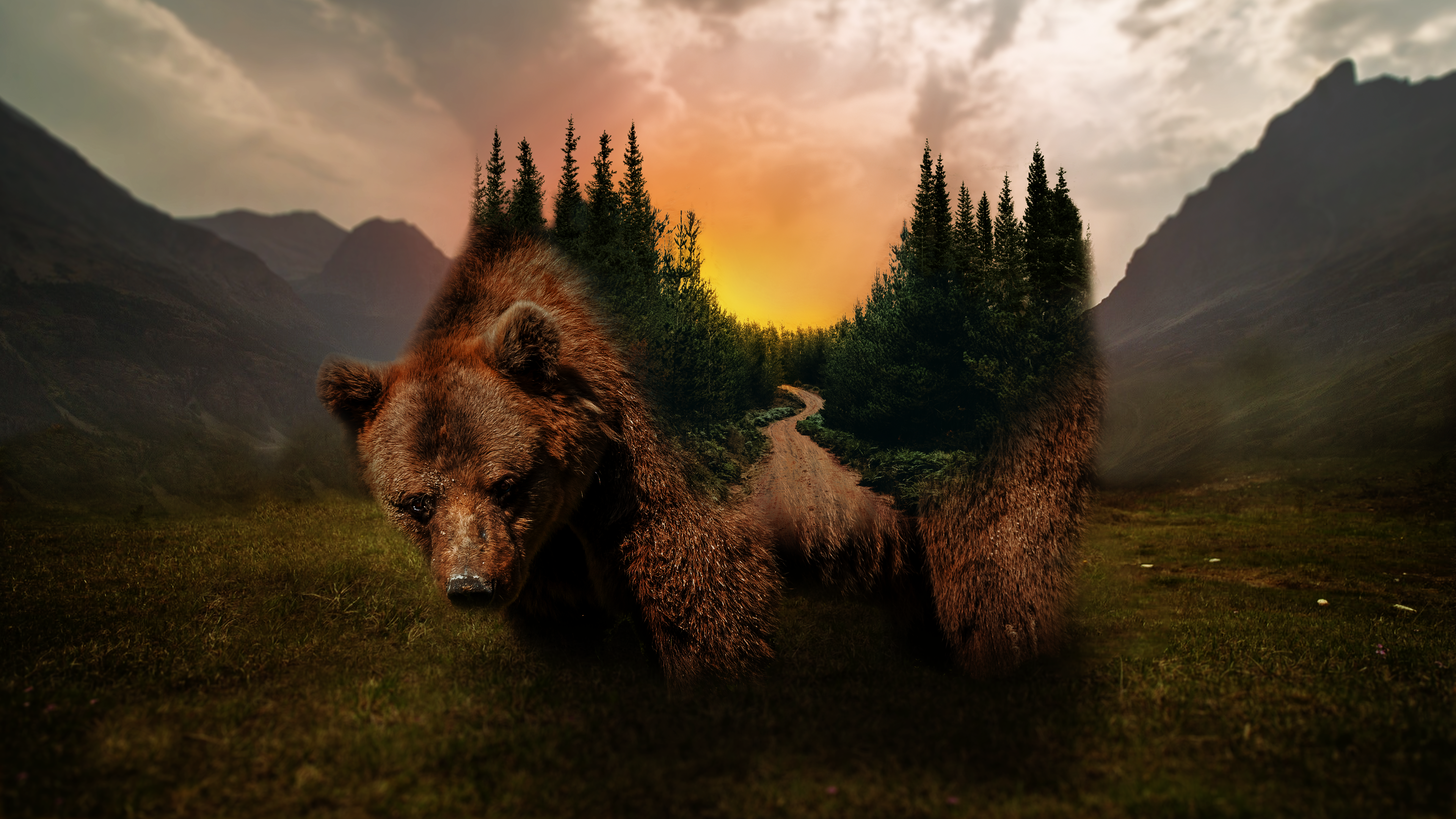Grizzly Bear Forest Sunset Nature Digital Art Wallpaper