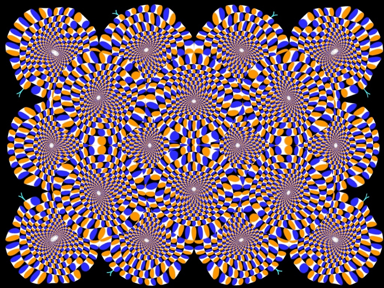 Premium Vector  Psychedelic optical illusion wallpaper concept